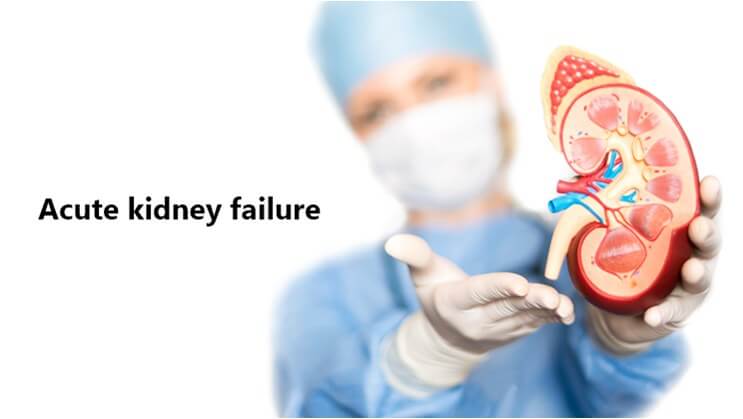 kidney failure treatment options