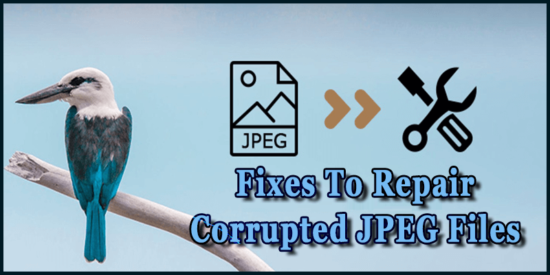 Ways to Repair Corrupted JPEG Photos