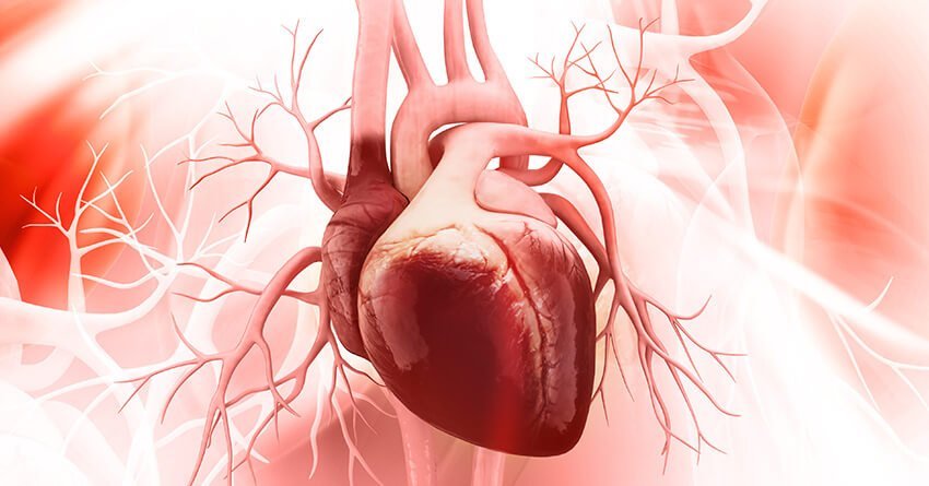 most common congenital heart defect in adults