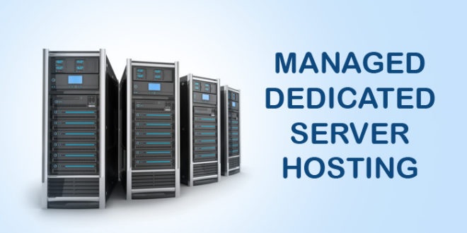 managed Dedicated Server