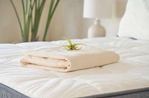 mattress protector